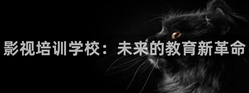 被窝影院：影视培训学校：未来的教育新革命