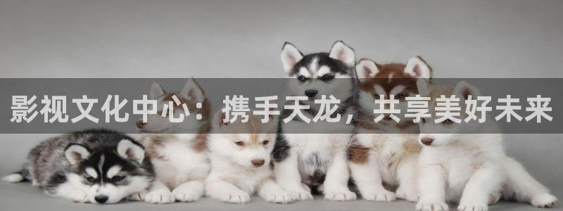 被窝午夜理论影片：影视文化中心：携手天龙，共享美好未来