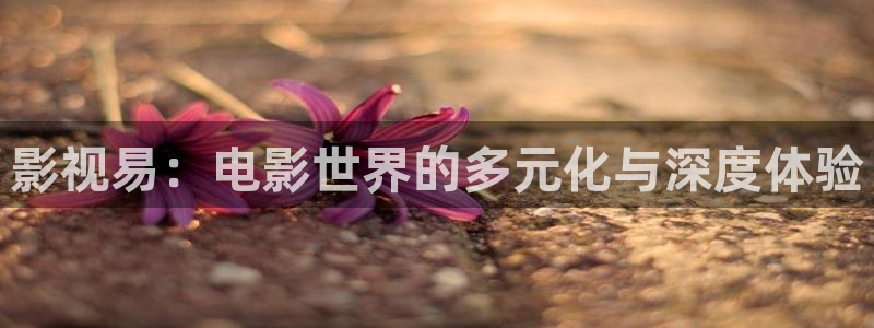 被窝神马影院：影视易：电影世界的多元化与深度体验