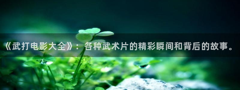 被窝电影网我不卡：《武打电影大全》：各种武术片的精彩瞬间和背后的故事。