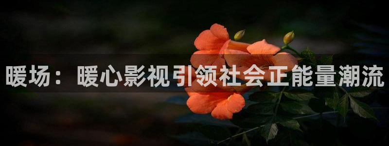 被窝影视电视剧免费观看电视剧大全：暖场：暖心影视引领社会正能量潮流
