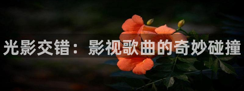 被窝影院在线看：光影交错：影视歌曲的奇妙碰撞