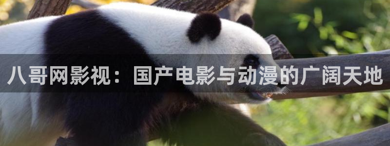 被窝理论电影网：八哥网影视：国产电影与动漫的广阔天地