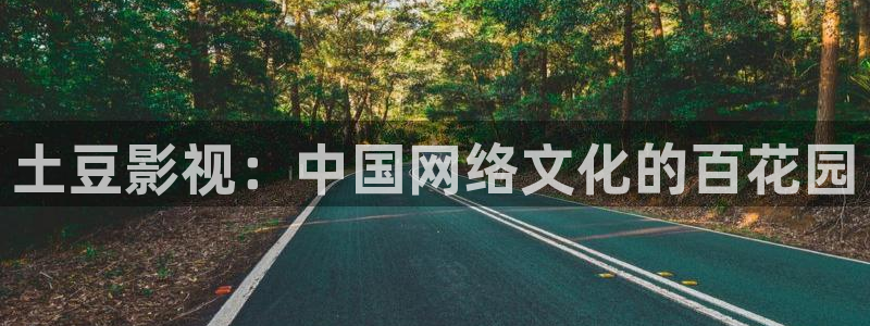 被窝影院在线观看蜜桃：土豆影视：中国网络文化的百花园