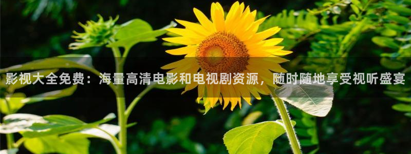 琪琪秋霞午夜被窝影视：影视大全免费：海量高清电影和电视剧资源，随时随地享受视听盛宴