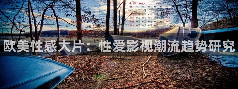 被窝电影网我不卡：欧美性感大片：性爱影视潮流趋势研究
