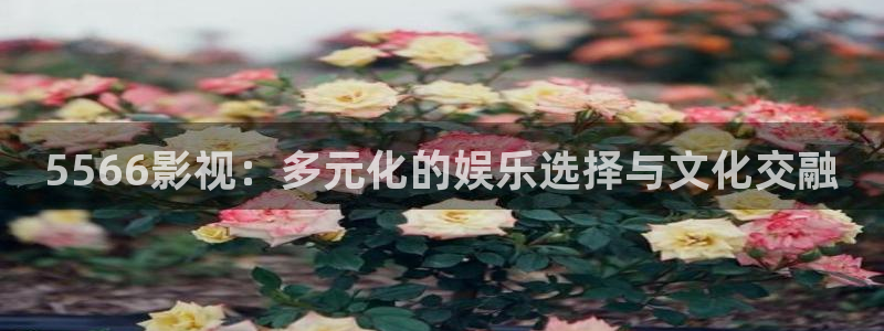 被窝影院午夜片：5566影视：多元化的娱乐选择与文化交融