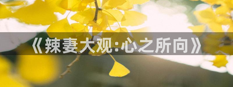 午夜被窝影院：《辣妻大观:心之所向》